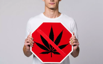 addiction au cannabis avec l&rsquo;acupuncture laser à Rennes